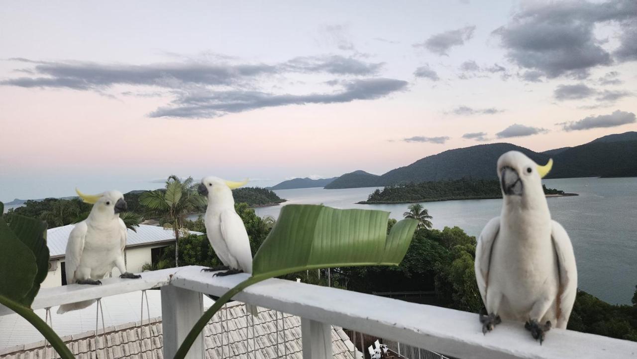The Haven View - Airlie Beach Ngoại thất bức ảnh