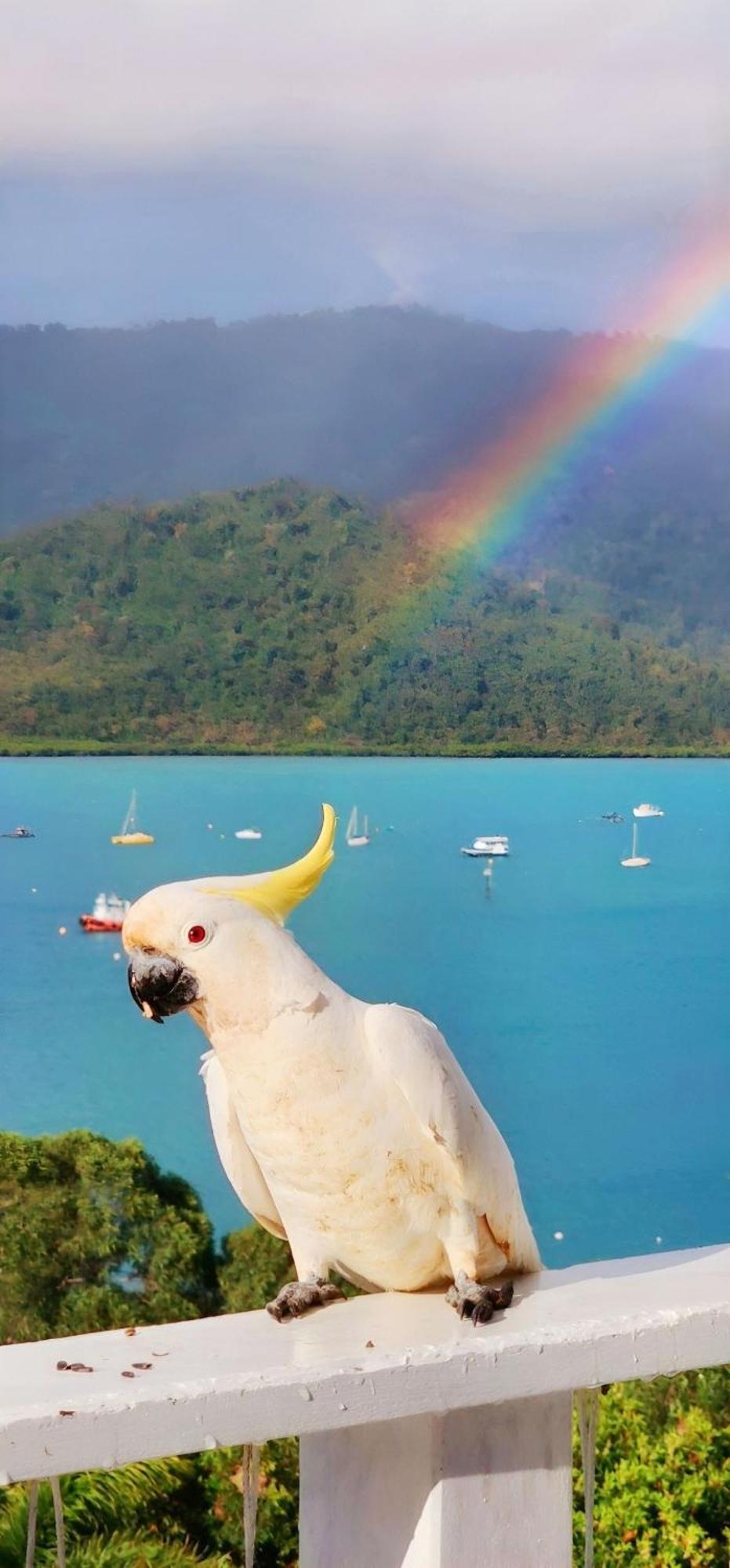 The Haven View - Airlie Beach Ngoại thất bức ảnh