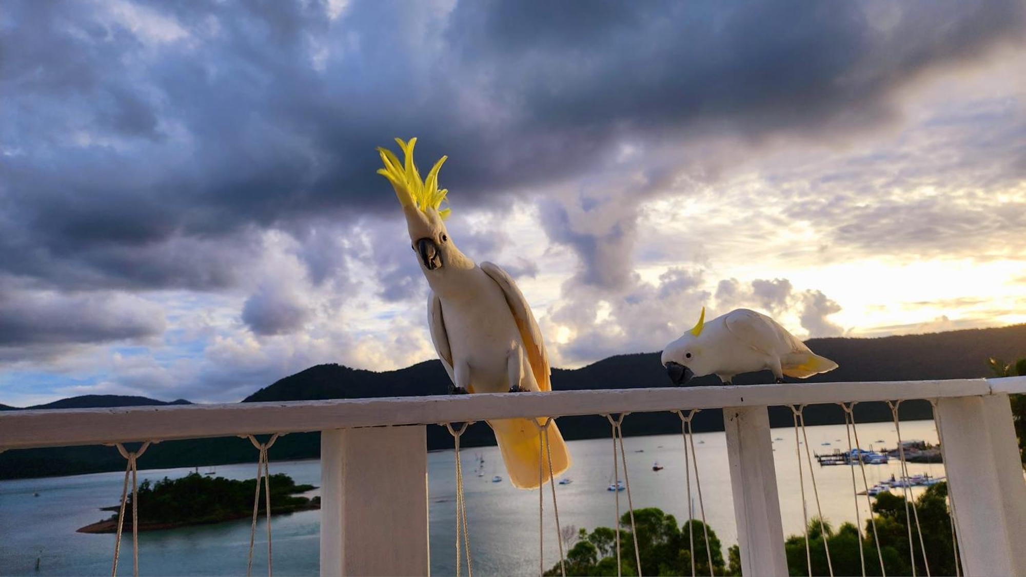 The Haven View - Airlie Beach Ngoại thất bức ảnh